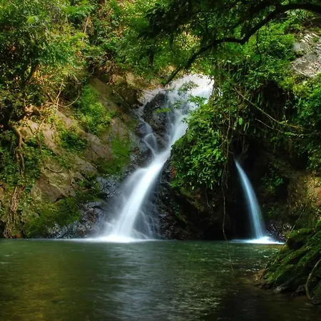 Belum Rainforest Resort-3