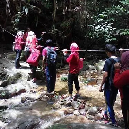 Belum Rainforest Resort-2
